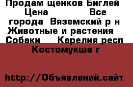 Продам щенков Биглей › Цена ­ 15 000 - Все города, Вяземский р-н Животные и растения » Собаки   . Карелия респ.,Костомукша г.